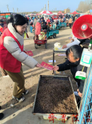 宪法宣传赶大集 法治理念润民心-平度市白沙河街道